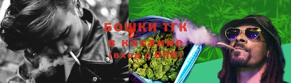 стаф Богородск