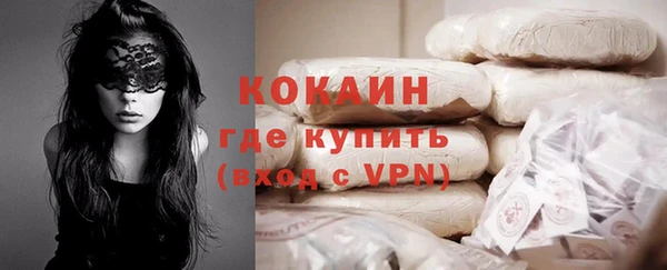 стаф Богородск