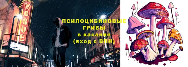 марки nbome Богданович