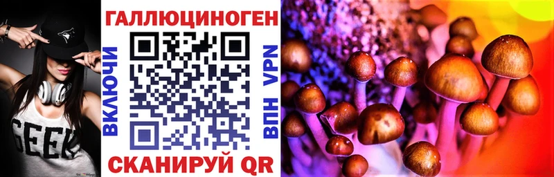 где найти наркотики  Конаково  Галлюциногенные грибы прущие грибы 
